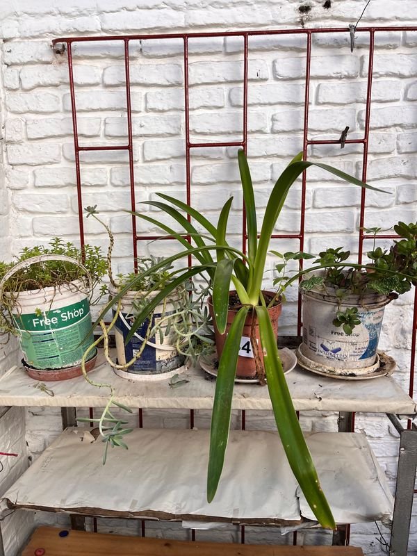 Item 921722 - Image 0