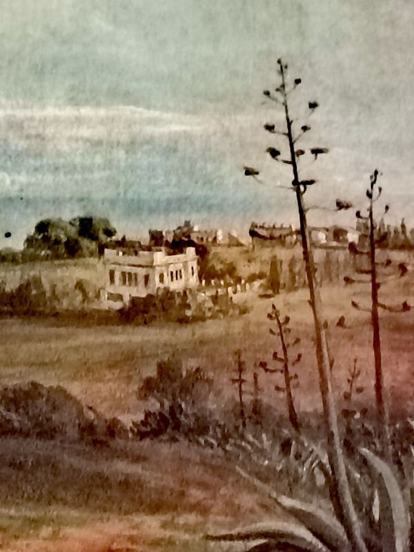Lámina: Vista de Montevideo (1856) - Alrededores Hospital Vilardebó - imagen 11