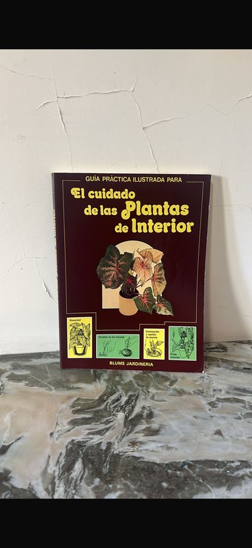 Item 894354 - Image 0