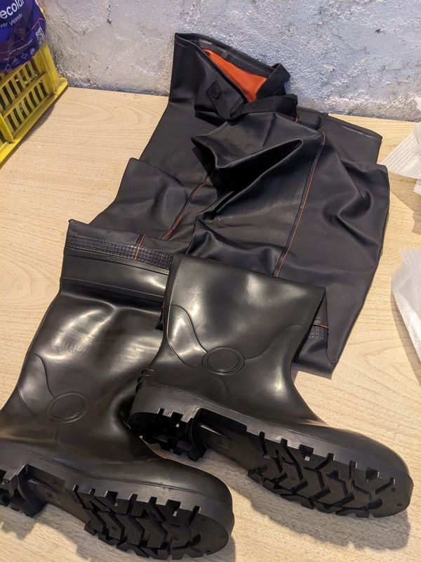 Item 890646 - Image 0