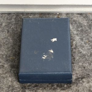 Medalla de Estados Unidos con Estuche y Cinta Tricolor - imagen 2