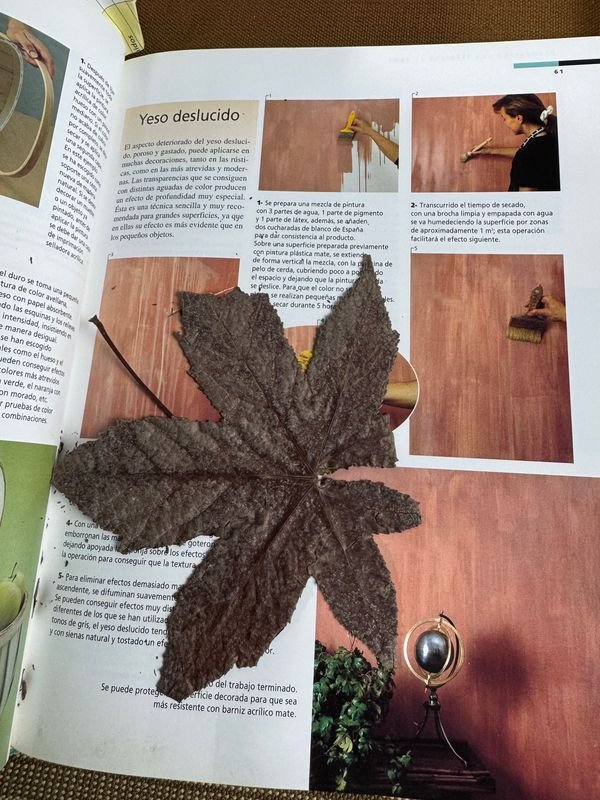 Colección de libros sobre decoración en español - imagen 8