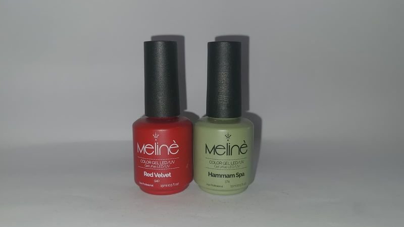 Lote anterior: Pólipos de esmalte Meliné