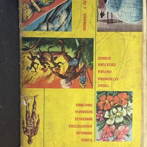 Álbumes "Vida y Color" Colección Enciclopédica Ilustrada - imagen 10