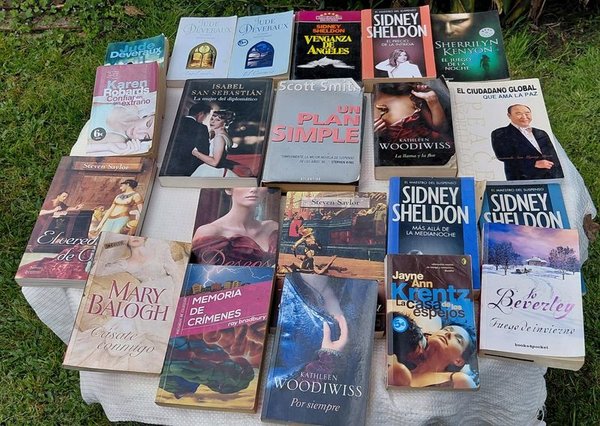 Lote de 21 Libros de Diversos Autores y Géneros