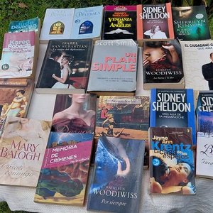 Lote de 21 Libros de Diversos Autores y Géneros - imagen 1
