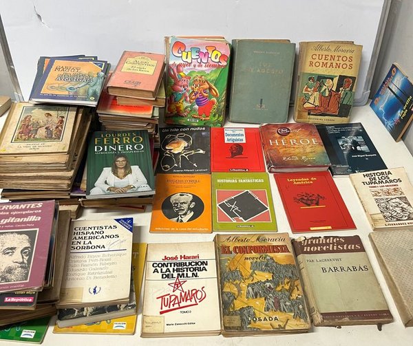 + De 80 libros diferentes imposible de detallar , novelas , cuentos y varios