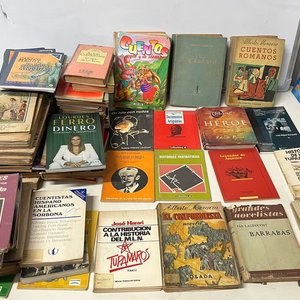 Lote anterior: + De 80 libros diferentes  imposible de detallar , novelas , cuentos y varios