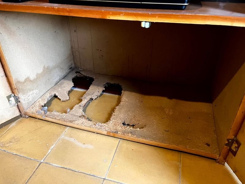 Item 876169 - Image 3