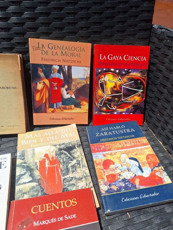 Item 873755 - Image 4