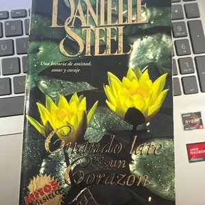 Lote anterior: Libro "Cuando late un corazón" de Danielle Steel