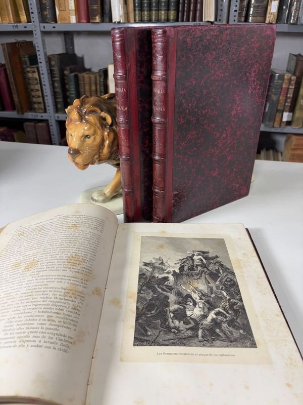 Item 879445 - Image 2