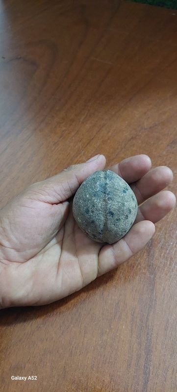 Item 900873 - Image 3