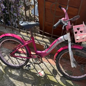 Lote siguiente: Bicicleta Infantil Rosa con Canasto