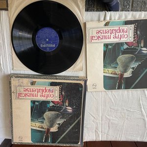Lote anterior: Cofre Musical Rioplatense: Discos de Vinilo con Ilustraciones y Textos