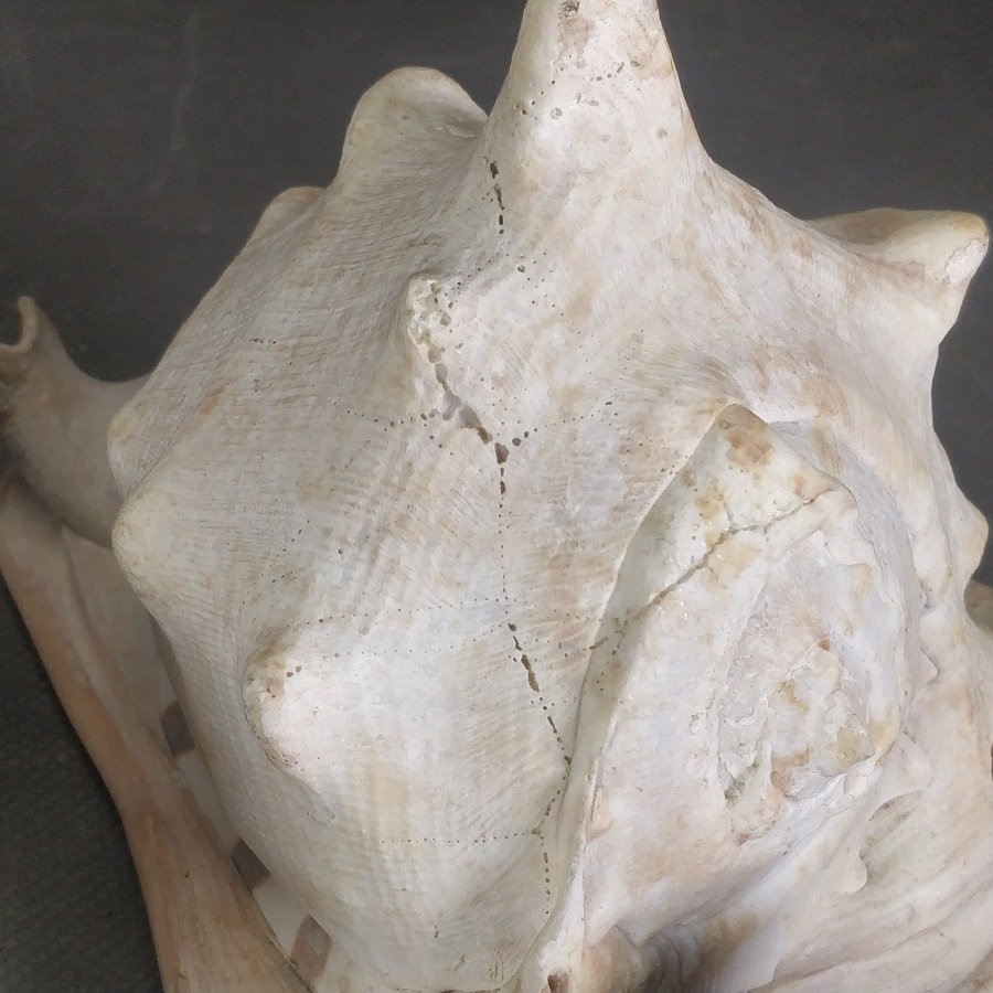 Item 15838 - Image 5