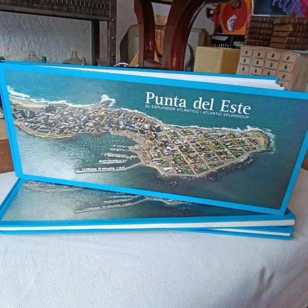 Libros ilustrados sobre Punta del Este - Edición bilingüe - imagen 1