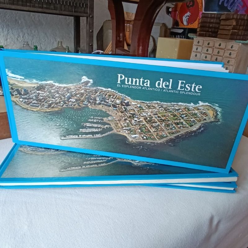 Libros ilustrados sobre Punta del Este - Edición bilingüe - imagen 1