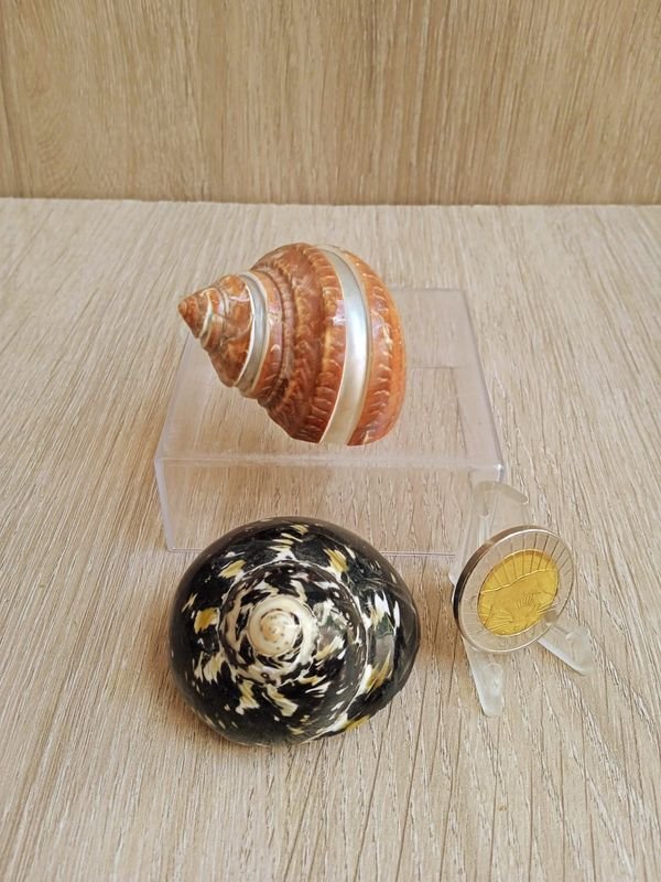 Item 884178 - Image 2