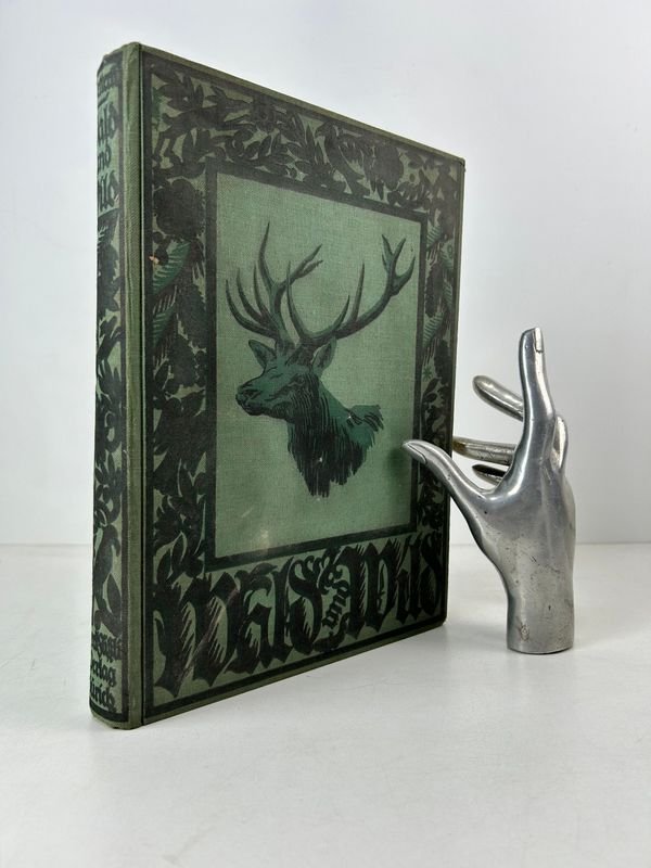 Libro sobre naturaleza y vida silvestre, Bosque y pradera, de Paul von Tschudi - imagen 1
