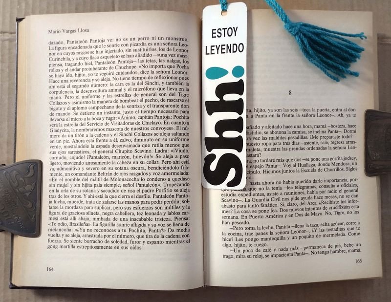 Libro de Mario Vargas Llosa: PANTALEON Y LAS VISITADORAS / LA TIA JULIA Y EL ESCRIBIDOR - imagen 3