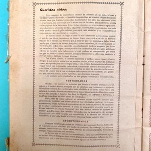 Álbum Antiguo de Figuritas "Animales de Todo el Mundo" - Editorial Fher - imagen 3