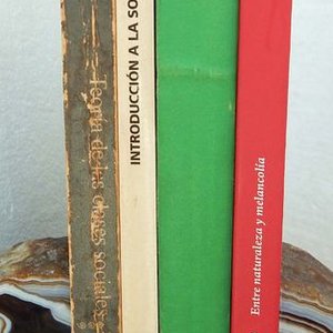 Lote de 4 Libros de Sociología: La Muchedumbre Solitaria, Schelling, Introducción a la Sociología y Teoría de las Clases Sociales - imagen 3
