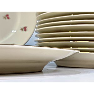 Veintiún Platos de Porcelana Bavaria Beige con Flores - 24 cm - imagen 3