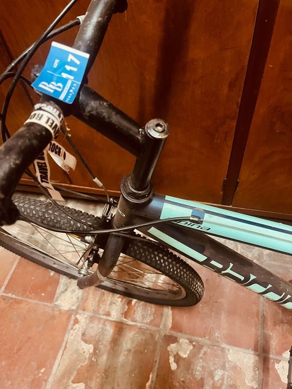 Bicicleta de Montaña Baccio Alpina Rod 26 - imagen 3