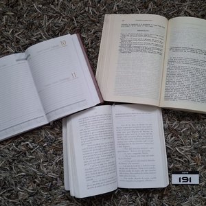 Lote de Libros: "Martina Valiente", "Cruzamientos en Ganado Vacuno de Carne", Colección "Todo Uruguay" (19 CD) y Agenda 2016 - imagen 5