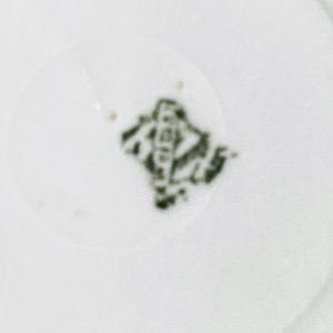 Juego de 11 Piezas de Porcelana Alemana para Té: Tazas y Platillos con Flores Rosas - imagen 6