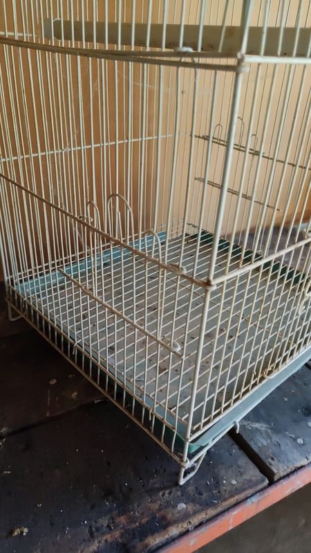 Item 870010 - Image 3