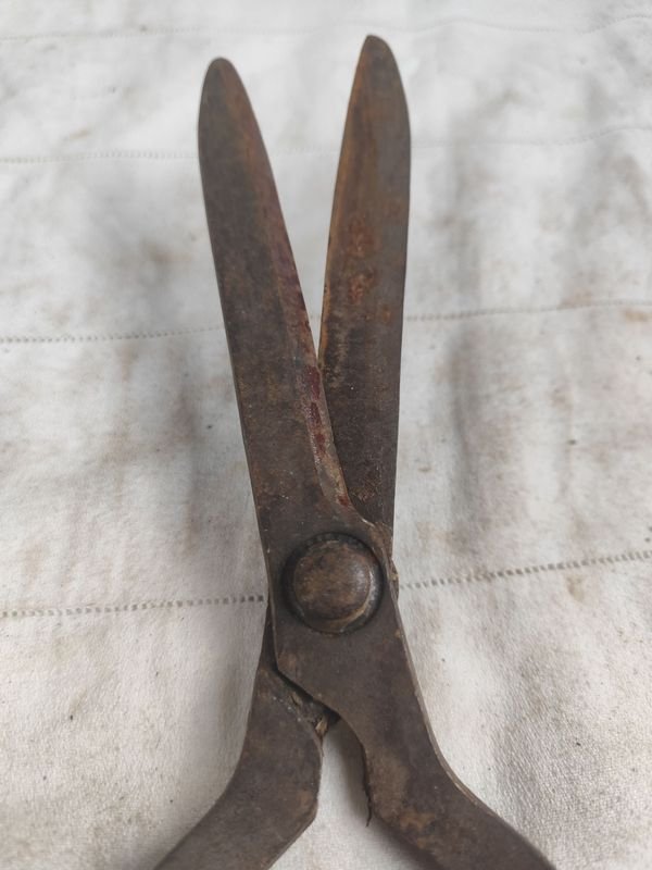 Item 866832 - Image 1