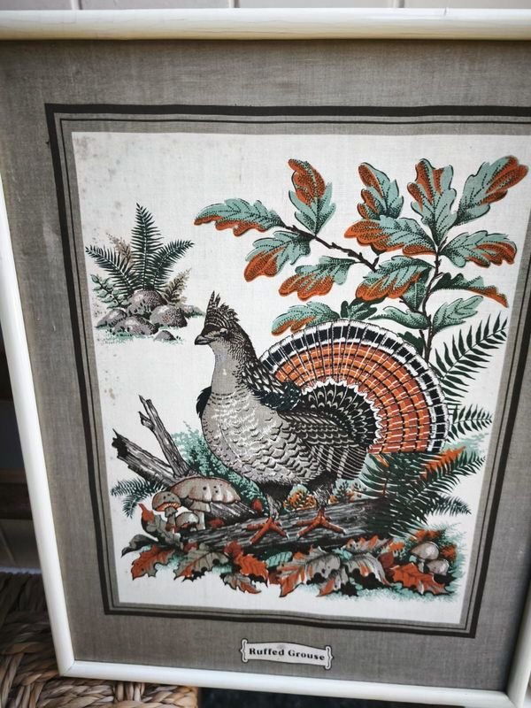 Colección de cuadritos decoración estilo aves - imagen 9