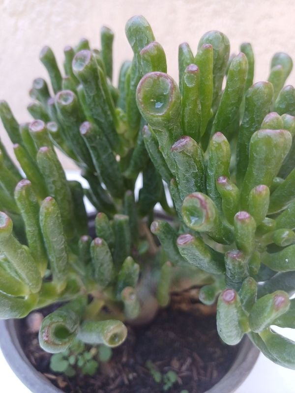 Item 875542 - Image 3