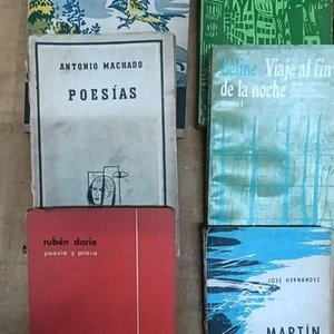 13 Libros de Autores Reconocidos: Zorrilla de San Martín, Rubén Darío, Céline y más - imagen 4