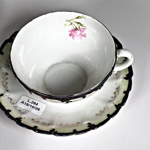 Juego de 11 Piezas de Porcelana Alemana para Té: Tazas y Platillos con Flores Rosas - imagen 5