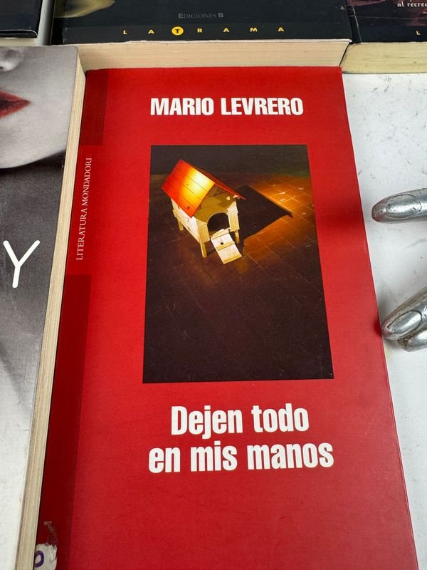 5 libros de Thriller Policial y Novela Contemporánea - imagen 3