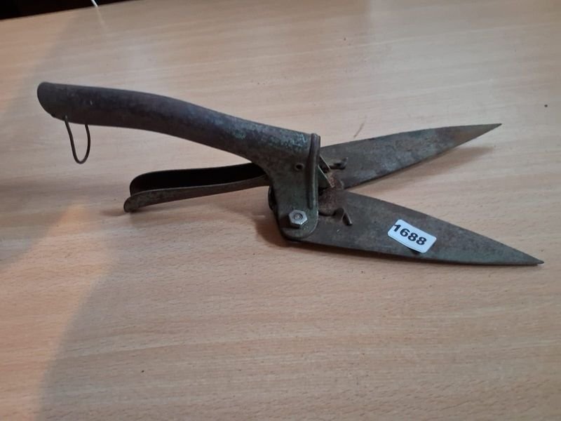 Item 894845 - Image 2