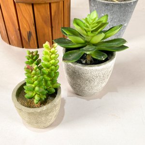 Lote de Hielera de Madera y Adornos de Vegetación Artificial - imagen 2