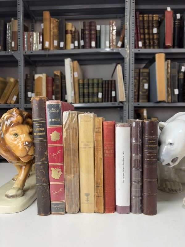 Lote siguiente: Libros antiguos con figuras y decoración