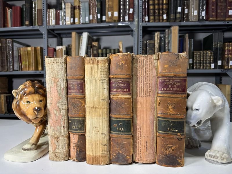 Lote anterior: Historia de las Persecuciones Políticas y Religiosas en 6 Volúmenes en Español 1863