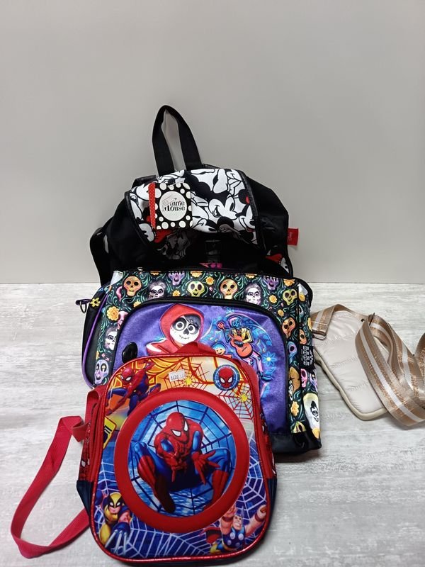 Lote anterior: Mochilas y bolsos con diseños temáticos