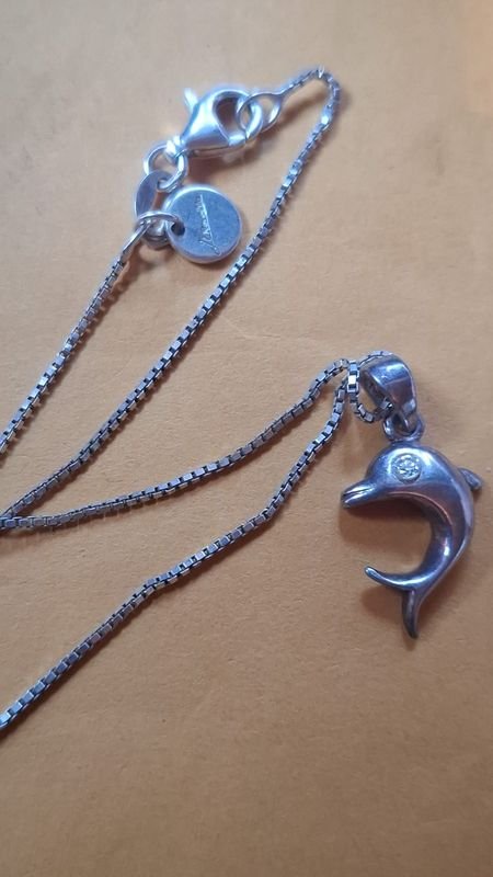Cadena de plata con dije delfín - imagen 6