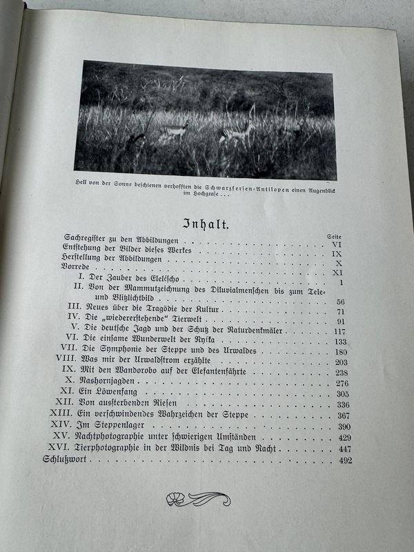 El encanto del elefante por C.G Schillings: una obra de arte única - imagen 4