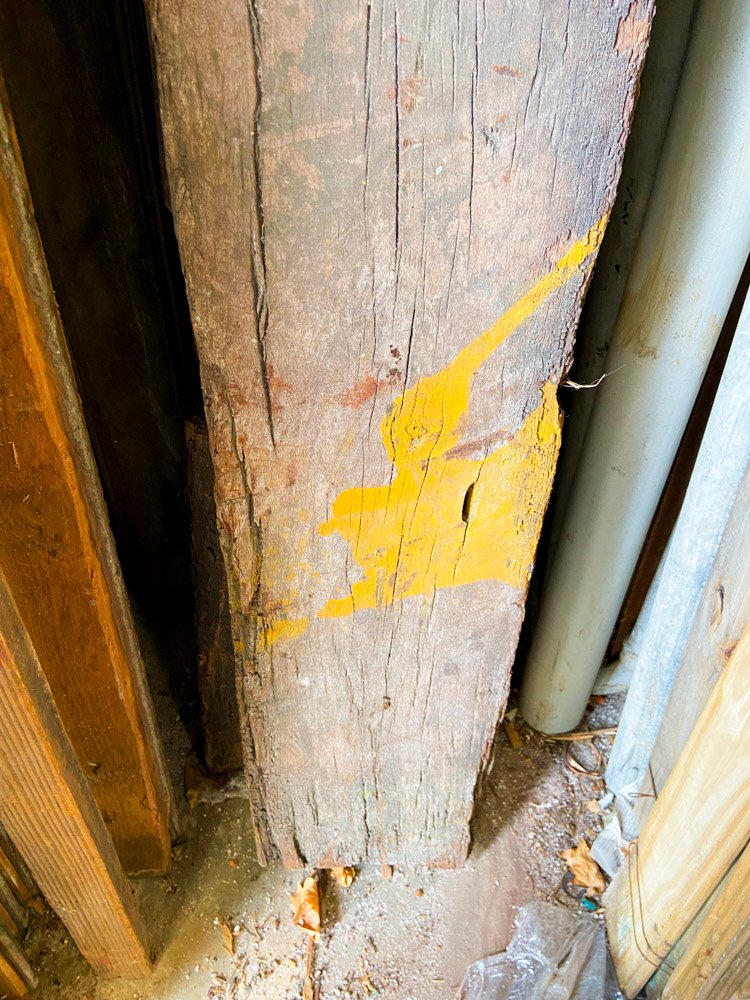 Item 499822 - Image 3