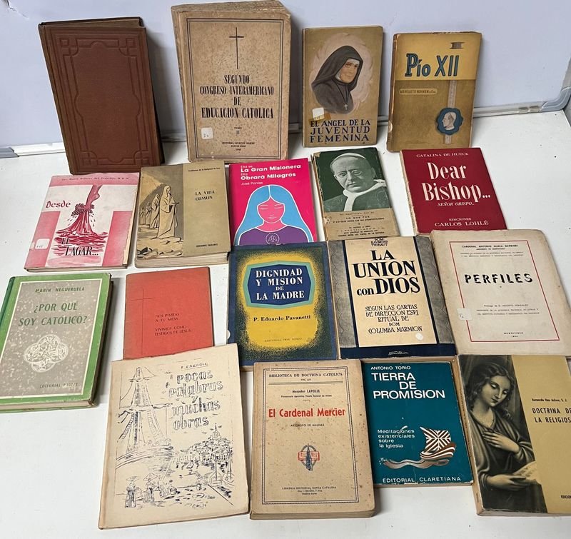 Lote de 18 Libros de Religión Católica y Teología