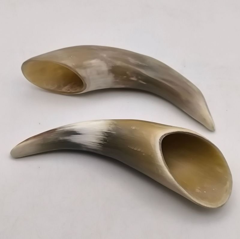 Lote siguiente: Tusks de Elefante Naturales Pulidos