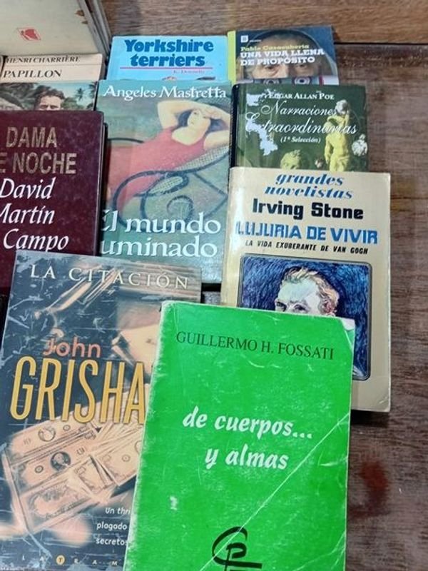 Colección de libros y novelas en español - imagen 2
