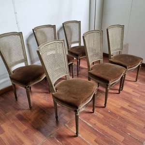 Juego de 6 Sillas Luis XV Estilo Francés con Respaldo Esterillado y Asiento de Pana Visón - imagen 2